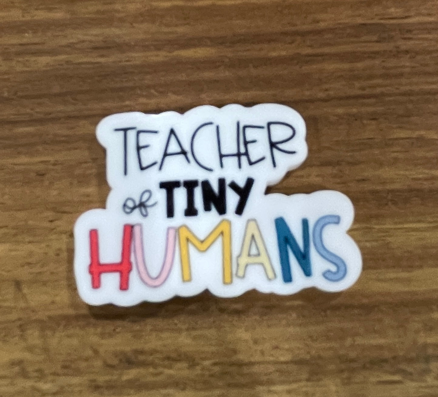 Teacher of Tiny Humans - Resin Planar Flatback Acrylic Embellishment