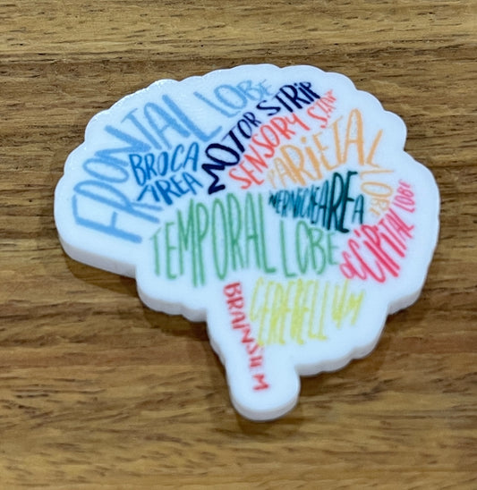 Colorful Brain Parts - Resin Planar Flatback Acrylic Embellishment